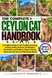 The Complete Ceylon Cat Handbook: A Complete Guide to Care, Feeding, Grooming, Training, Health, Behavior, Socialization, Enrichment, and Building a H cover