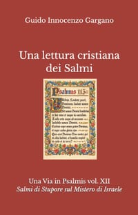 Una lettura cristiana dei Salmi - Volume Dodicesimo: Salmi di Stupore sul Mistero di Israele - Gioia, Speranza e Canto Nuovo cover
