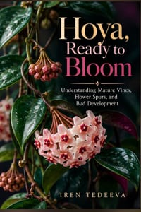 Hoya, Ready to Bloom: Understanding Mature Vines, Flower Spurs, and Bud Development cover