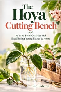 The Hoya Cutting Bench: Rooting Stem Cuttings and Establishing Young Plants at Home cover