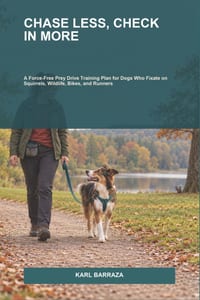 Chase Less, Check In More: A Force-Free Prey Drive Training Plan for Dogs Who Fixate on Squirrels, Wildlife, Bikes, and Runners cover
