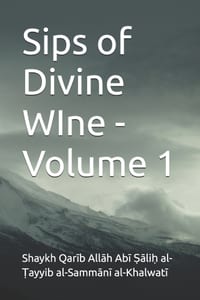 Sips of Divine WIne - Volume 1 cover