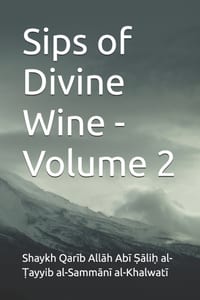 Sips of Divine Wine - Volume 2 cover