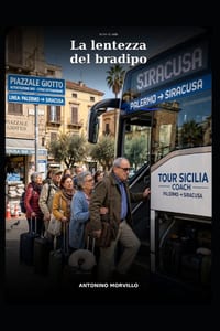 La lentezza del bradipo cover