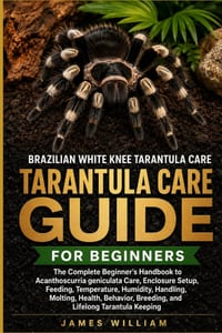 Brazilian White Knee Tarantula Care Guide: The Complete Beginner's Handbook to Acanthoscurria geniculata Care, Enclosure Setup, Feeding, Temperature, cover
