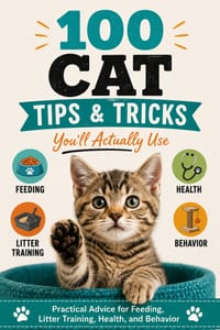100 Cat Tips & Tricks You'll Actually Use: Practical Advice for Feeding, Litter Training, Health, and Behavior cover
