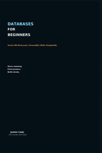 Databases For Beginners: Vector DB (Pinecone), ChromaDB, FA/ISS, PostgreSQL cover
