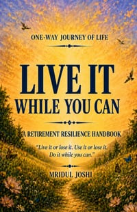 Live It While You Can: A Retirement Resiliance Handbook cover
