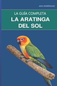La aratinga del sol: Guía completa sobre cuidados, gestión del ruido y el ave más llamativa de la casa cover