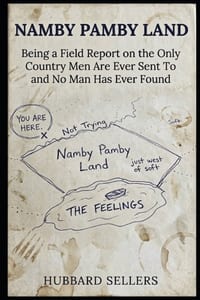 Namby Pamby Land: Being a Field Report on the Only Country Men Are Ever Sent To and No Man Has Ever Found cover