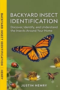 Backyard Insect Identification: Discover, Identify, and Understand the Insects Around Your Home cover