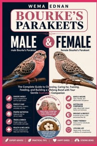Bourke's Parakeets: The Complete Guide to Choosing, Caring for, Training, Feeding, and Building a Lifelong Bond with Your Gentle Australian Companion cover
