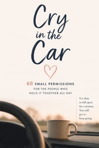 Cry in the Car: 60 Small Permissions for the People Who Hold It Together All Day cover