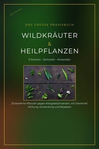 Wildkräuter und Heilpflanzen: Ratgeber für Kräutersammler, Heilpflanzen cover