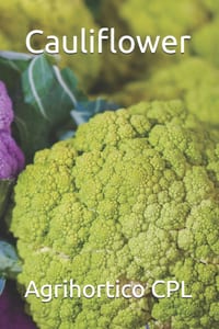 Cauliflower cover