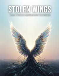 Stolen Wings: From The Shadow Of Addiction To True Freedom cover