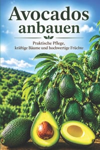 Avocados anbauen: Praktische Pflege, kräftige Bäume und hochwertige Früchte cover