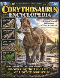 Dinosaur Encyclopedia Series Vol.35 Corythosaurus: Crest, Skeleton, Growth, and Life in the Late Cretaceous cover