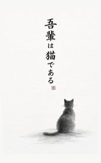 I am a cat cover