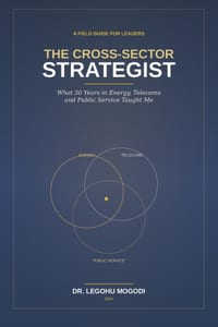 The Cross Sector Strategist: What 30 Years in Energy, Telecoms and Public Service Taught Me cover