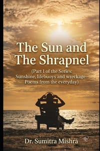 The Sun and The Shrapnel cover