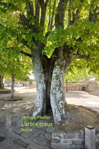 L'arbre creux: Poème cover