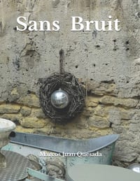 Sans Bruit cover