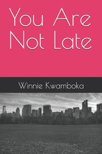 You Are Not Late cover