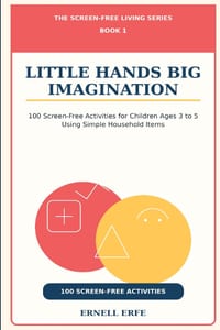 Little Hands Big Imagination: 100 Screen-Free Activities for Children Ages 3 to 5 Using Simple Household Items cover