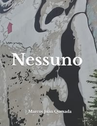 Nessuno cover
