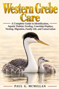 Western Grebe Care: A Complete Guide to Identification, Aquatic Habitat, Feeding, Courtship Displays, Nesting, Migration, Family Life, and Conservatio cover