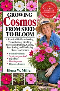 Growing Cosmos from Seed to Bloom: A Practical Guide to Sowing, Transplanting, Pinching, Succession Planting, Cutting, Seed Saving, and Producing Flow cover