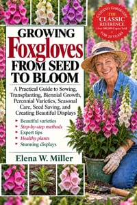 Growing Foxgloves from Seed to Bloom: A Practical Guide to Sowing, Transplanting, Biennial Growth, Perennial Varieties, Seasonal Care, Seed Saving, an cover