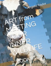 ART from MEETING YOUR INNER WILDLIFE: Books 1-30 cover