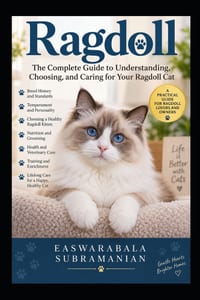 Ragdoll Reddy cover