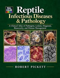 Reptile Infectious Diseases & Pathology: A Clinical Atlas of Pathogens, Lesions, Diagnosis, Biosecurity, and Disease Management cover