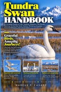Tundra Swan Handbook: A Complete Guide to Calls, Feeding, Migration, Pair Bonds, Nesting, Family Life, Arctic Habitat, Wintering Grounds, Seasonal Beh cover
