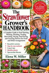 The Strawflower Grower's Handbook: A Complete Guide to Seed Starting, Planting, Pinching, Feeding, Harvesting, Drying, Seed Saving, and Growing Flower cover