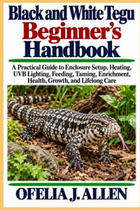 Black and White Tegu Beginner's Handbook: A Practical Guide to Enclosure Setup, Heating, UVB Lighting, Feeding, Taming, Enrichment, Health, Growth, an cover