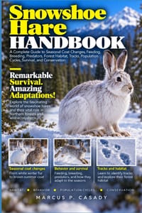 Snowshoe Hare Handbook: A Complete Guide to Seasonal Coat Changes, Feeding, Breeding, Predators, Forest Habitat, Tracks, Population Cycles, Survival, cover