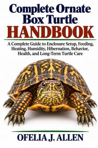 Complete Ornate Box Turtle Handbook: A Complete Guide to Enclosure Setup, Feeding, Heating, Humidity, Hibernation, Behavior, Health, and Long-Term Tur cover