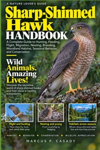 Sharp-Shinned Hawk Handbook: A Complete Guide to Hunting, Feeding, Flight, Migration, Nesting, Breeding, Woodland Habitat, Seasonal Behavior, and Cons cover