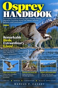 Osprey Handbook: A Complete Guide to Fishing, Flight, Feeding, Nesting, Migration, Courtship, Family Life, Habitat, Seasonal Behavior, and Conservatio cover