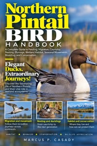 Northern Pintail Bird Handbook: A Complete Guide to Feeding, Migration, Courtship, Nesting, Plumage, Wetland Habitat, Seasonal Movements, Breeding, an cover