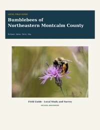 Bumblebees of Northeastern Montcalm County: Field Guide, Local Study, and Survey for Richland, Home, Ferris, and Day Townships cover