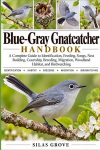 Blue-Gray Gnatcatcher Handbook: A Complete Guide to Identification, Feeding, Songs, Nest Building, Courtship, Breeding, Migration, Woodland Habitat, a cover