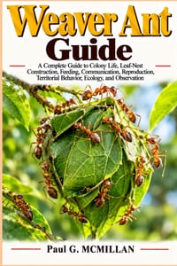 Weaver Ant Guide: A Complete Guide to Colony Life, Leaf-Nest Construction, Feeding, Communication, Reproduction, Territorial Behavior, Ecology, and Ob cover