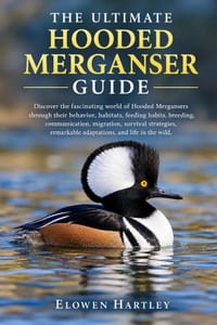 The Ultimate Hooded Merganser Guide: Discover the fascinating world of Hooded Mergansers through their behavior, habitats, feeding habits, breeding, c cover