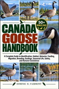 Canada Goose Handbook: A Complete Guide to Identification, Habitat, Behavior, Feeding, Migration, Breeding, Goslings, Seasonal Life, Safety, and Human cover