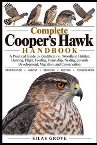 Complete Cooper's Hawk Handbook: A Practical Guide to Identification, Woodland Habitat, Hunting, Flight, Feeding, Courtship, Nesting, Juvenile Develop cover
